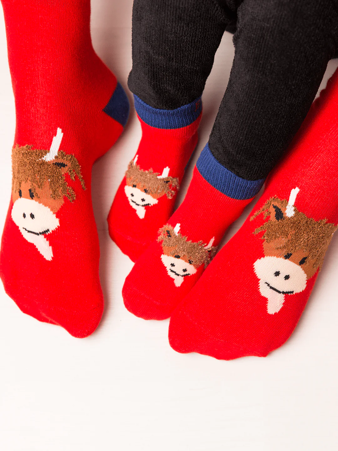 Hamish Highland Cow Socks - Image 3