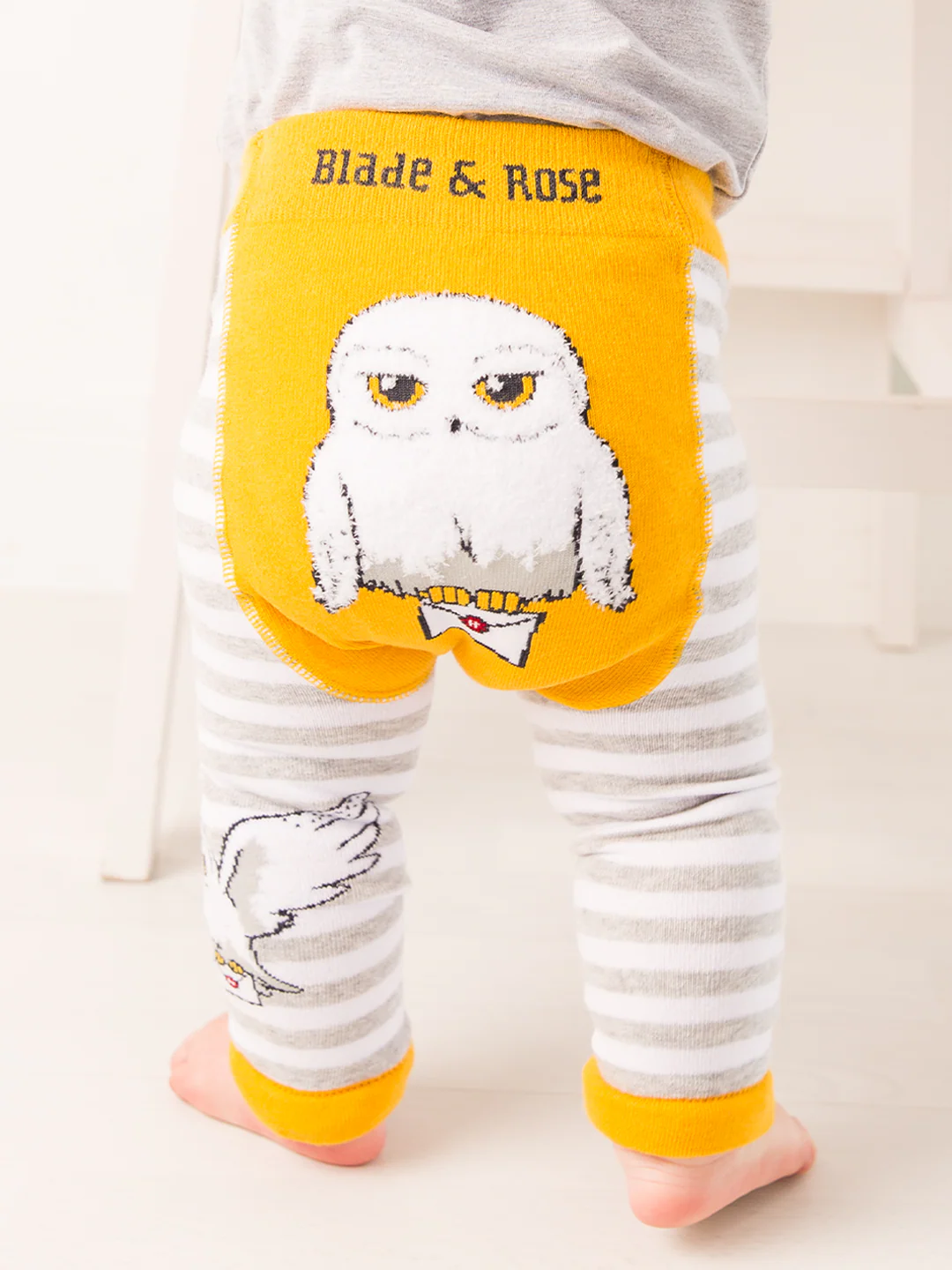 Harry Potter™ Hedwig Gift Box Set - Image 3
